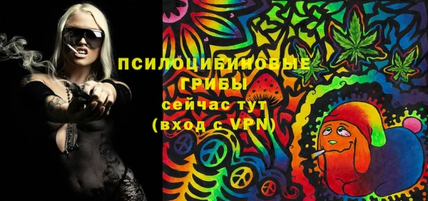 индика Михайлов