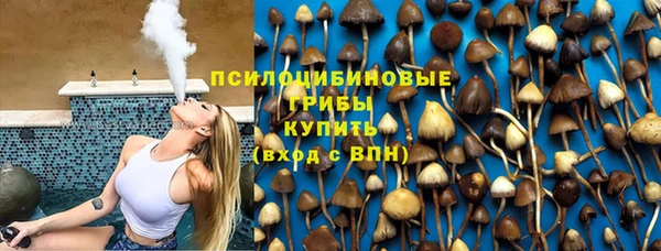 индика Михайлов