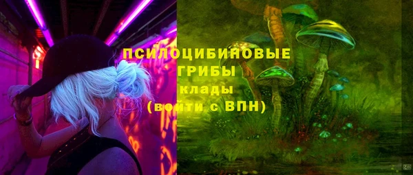 мдпв Медвежьегорск