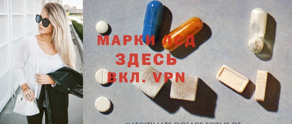 индика Михайлов