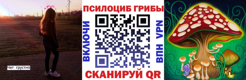 Псилоцибиновые грибы Psilocybine cubensis ОМГ ОМГ онион Майский