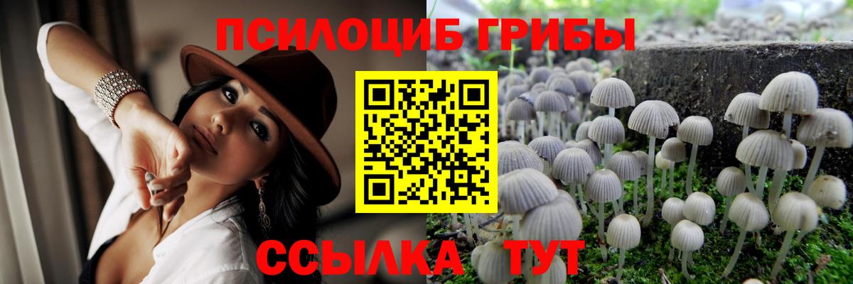 Галлюциногенные грибы MAGIC MUSHROOMS Майский